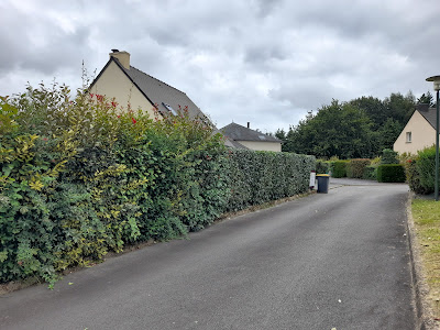 Ploërmel élagage à Campénéac