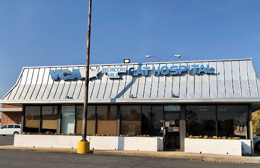 6610 Richmond Hwy, Alexandria, VA 22306, USA