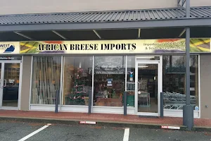 African Breese Imports image