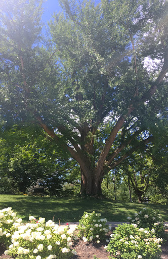 Museum «Behringer-Crawford Museum», reviews and photos, 1600 Montague Rd, Covington, KY 41011, USA