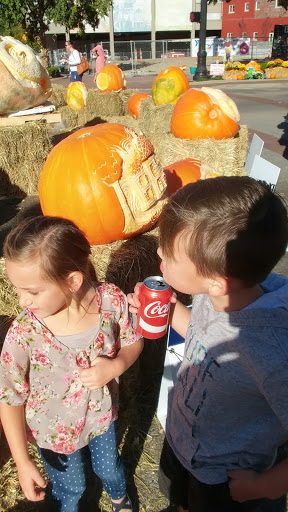 Pet Supply Store «Petco Animal Supplies», reviews and photos, 675 Deis Dr i, Fairfield, OH 45014, USA