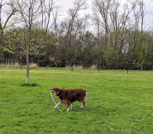 Dog Park «Carol Stream Bark Park», reviews and photos, 280 Kuhn Rd, Carol Stream, IL 60188, USA