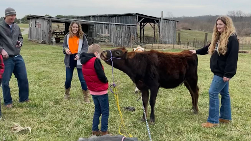 Farm «Benton Family Farm», reviews and photos, 11896 Old Lexington Pike, Walton, KY 41094, USA