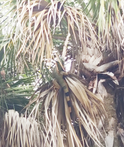 Park «Bay View Park», reviews and photos, 4401 Bayview Dr, Fort Lauderdale, FL 33308, USA