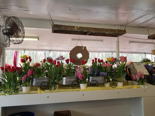 Grocery Store «Red Top Farm Market», reviews and photos, 1801 NJ-70, Southampton Township, NJ 08088, USA