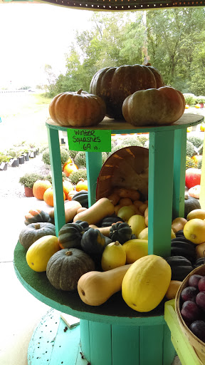 Produce Market «Poor Boys Produce & Vegetable», reviews and photos, 263 US-158, Camden, NC 27921, USA