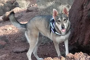 Timanfaya Veterinary Clinic image