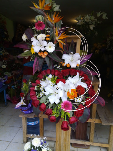 Florería Lupita – Túxpam de Rodríguez Cano