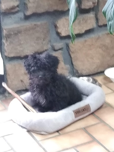 Pet Supply Store «PetSmart», reviews and photos, 4900 Rogers Ave #102a, Fort Smith, AR 72903, USA