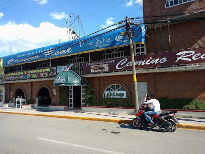 Restaurante familiar Camino Real - Bulevard huehuetoca salitrillo s/n, 54685 Huehuetoca, Méx., Mexico