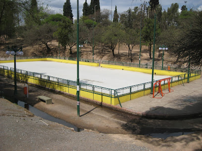 Pista de patinaje, Parque Sarmiento