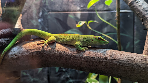 Zoo «John Ball Zoo», reviews and photos, 1300 West Fulton Street, Grand Rapids, MI 49504, USA