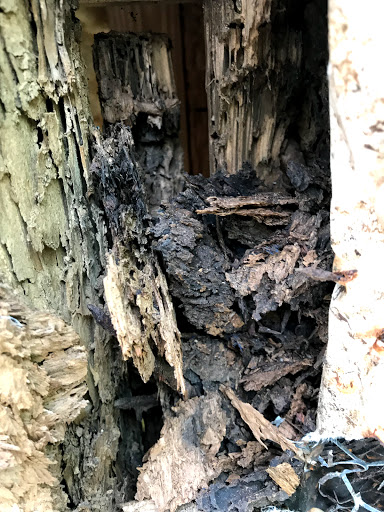 Roofing Contractor «Premier Roofing», reviews and photos, 10 Oak Park Dr, Hilton Head Island, SC 29926, USA