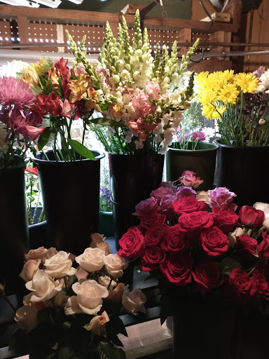 Florist «Tappan Zee Florist», reviews and photos, 176 Main St, Nyack, NY 10960, USA