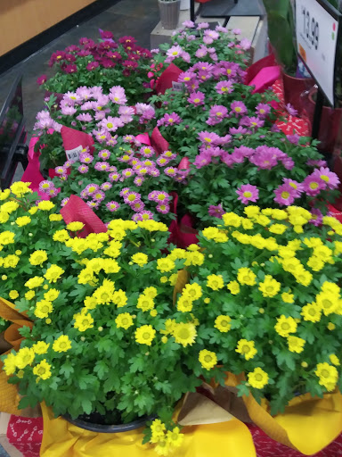 Grocery Store «Super Stop & Shop», reviews and photos, 1391 Main St, Willimantic, CT 06226, USA