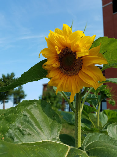 State Park «Fall River Heritage State Park», reviews and photos, Davol St, Fall River, MA 02720, USA