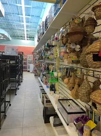 Rena's Pet Supplies - Car repair in Longwood, FL, Deltona - Rated 4.8/5