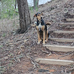 Photo n°2 de l'avis de Shelly.o fait le 24/10/2023 à 11:58 sur le  Quinta Camarena à Cercal Do Alentejo