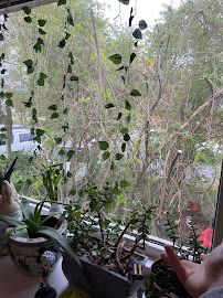 Orkin - Photo 8 - Car repair in North Chesterfield, VA, Richmond