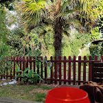 Photo n° 2 de l'avis de Alexandre.a fait le 16/07/2020 à 07:05 pour Baracoa Restaurant à Saint-Jean-de-Monts