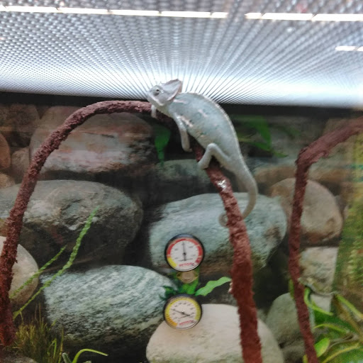 Pet Supply Store «Petco Animal Supplies», reviews and photos, 1255 Raritan Rd #140, Clark, NJ 07066, USA