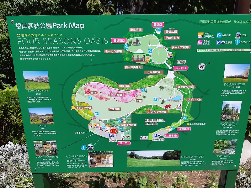 根岸森林公園 神奈川県横浜市簑沢 公園 公園 グルコミ