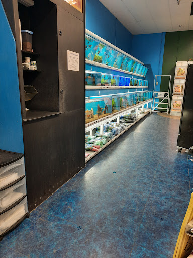 Pet Supply Store «Pet Supermarket», reviews and photos, 1070 E Hwy 50, Clermont, FL 34711, USA