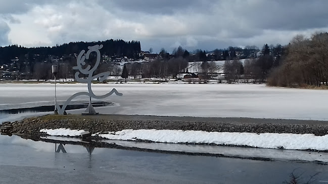 Comentarii opinii despre Zimní stadion BK Havlíčkův Brod