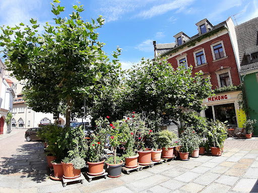 Küçük Resim 1