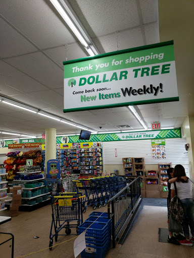 Dollar Store «Dollar Tree», reviews and photos, 3909 Queens Blvd, Sunnyside, NY 11104, USA