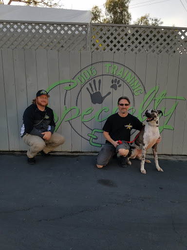 Specialty Dog Training image
