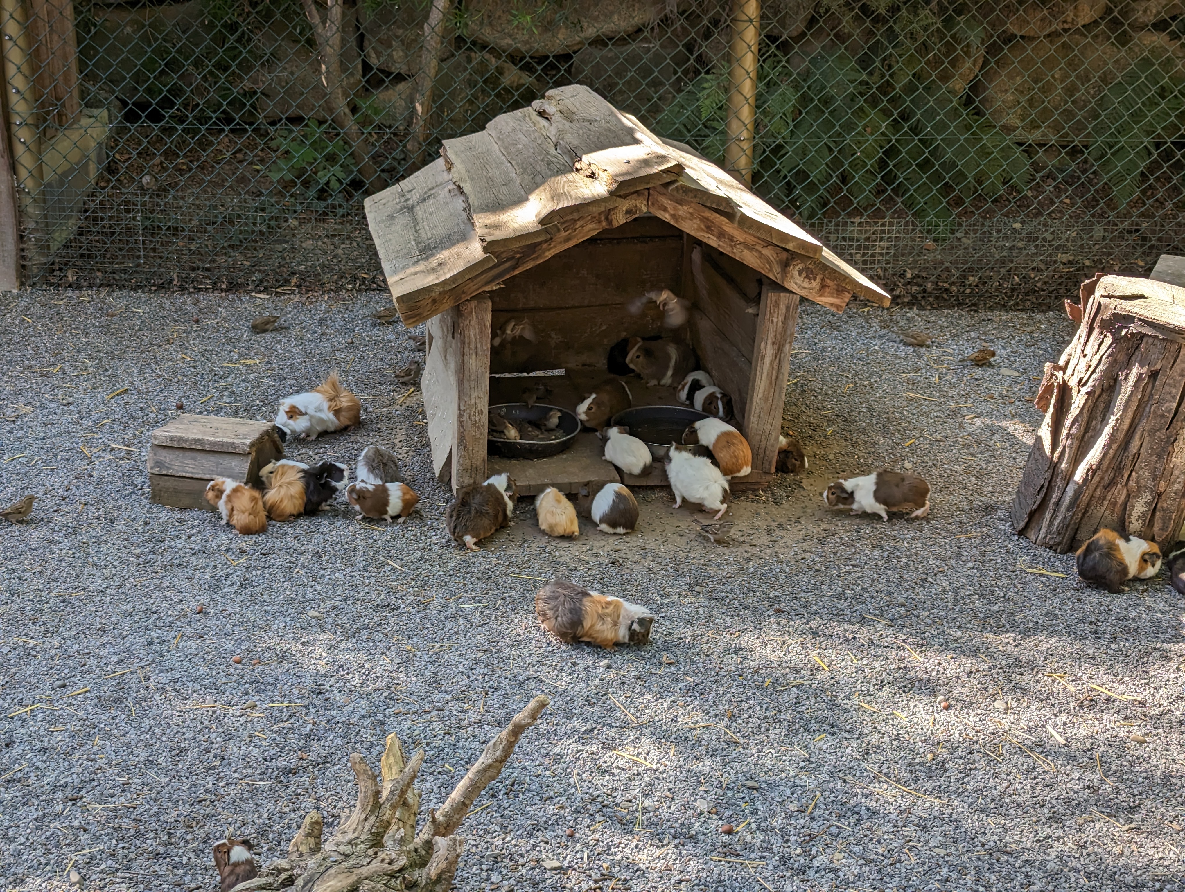 Photo n° 44 de l'avis de Thibaud.l fait le 10/10/2023 à 07:10