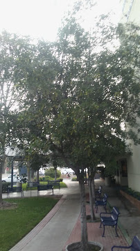 University of California Riverside Extension - Photo 6 - Car repair in Riverside, CA, Rancho Cucamonga