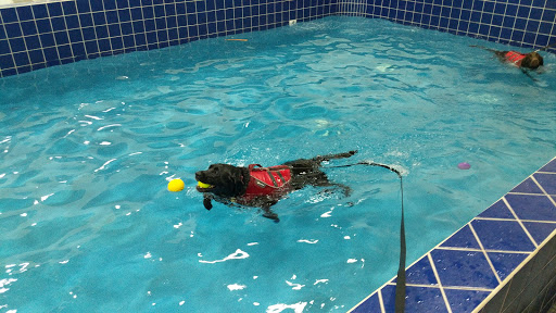 Pet Supply Store «Pet Depot Inc», reviews and photos, 2151 Greenspring Dr, Lutherville-Timonium, MD 21093, USA