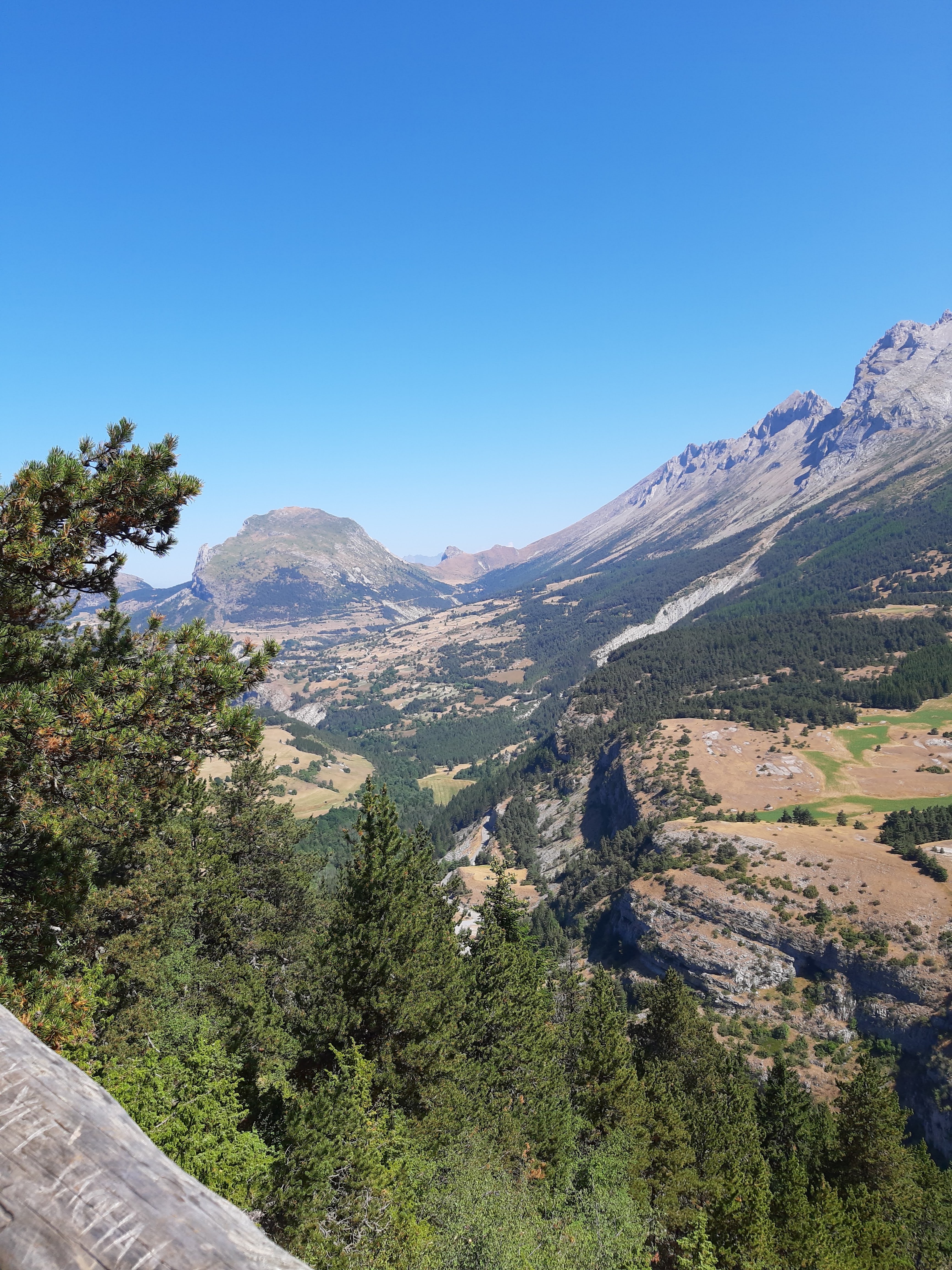 Photo n° 1 de l'avis de Delprat.i fait le 17/08/2022 à 17:44