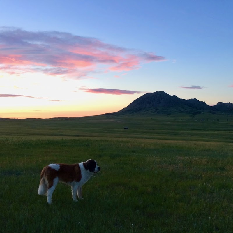 Bear Butte Gardens LLC