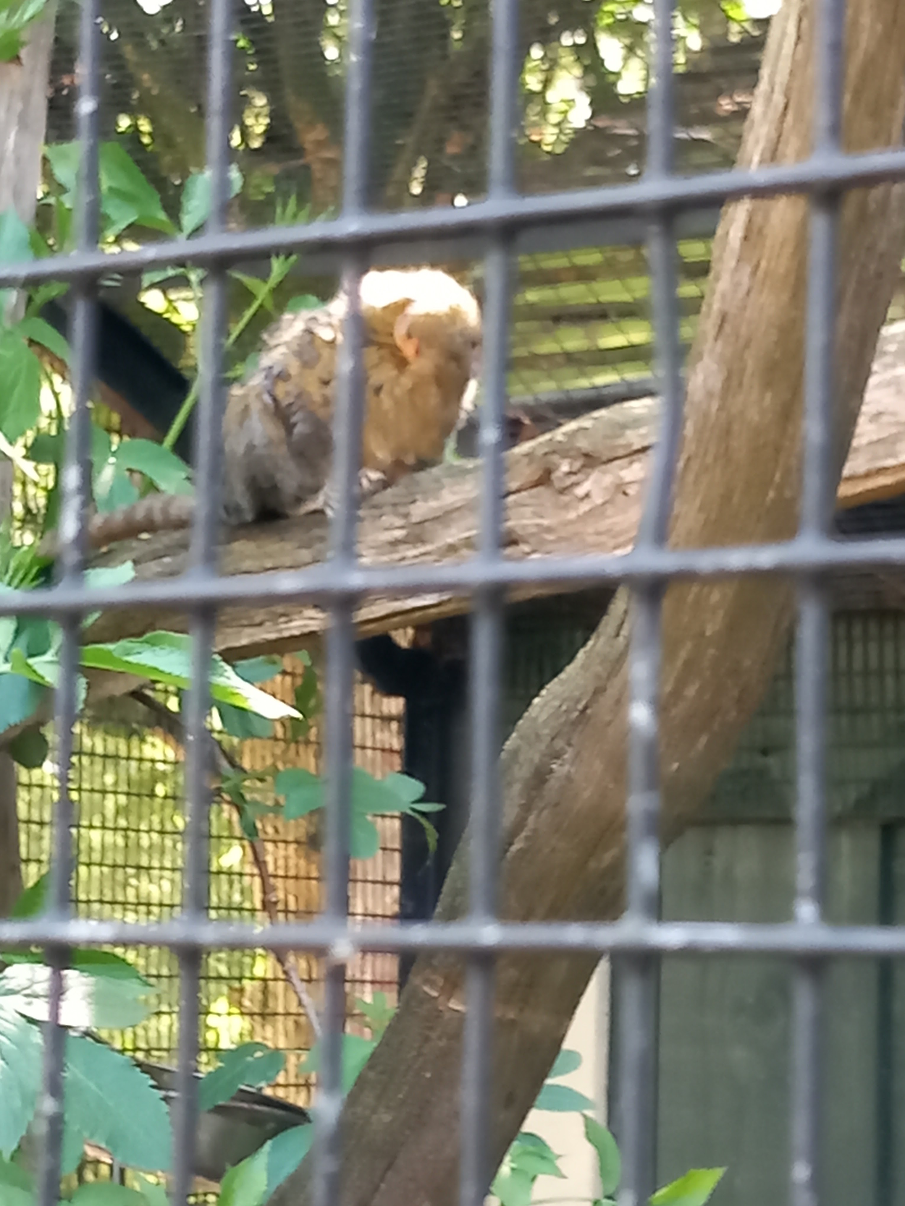 Photo n° 13 de l'avis de Karl.h fait le 01/05/2023 à 06:31