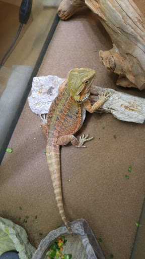 Pet Supply Store «Pet Den», reviews and photos, 1209 Nederland Ave, Nederland, TX 77627, USA