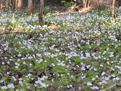 Photos of V&auml;llam&auml;gi