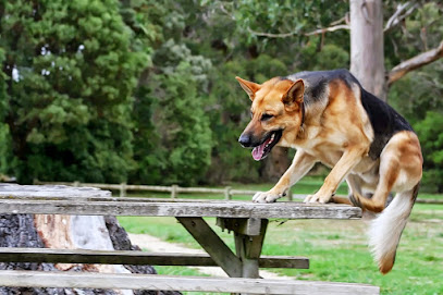 ZeroBites Dog Training. Woodville-Ashhurst-Palmerston North-Manawatu-Wairarapa