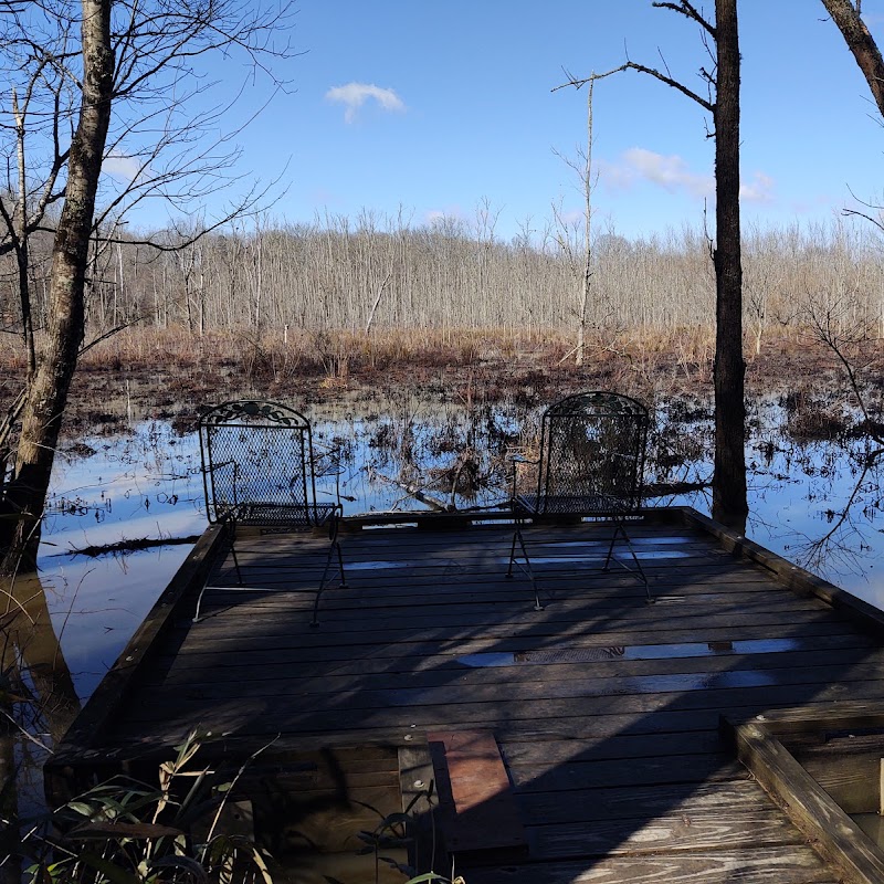 West Branch Nature Preserve Observation Deck