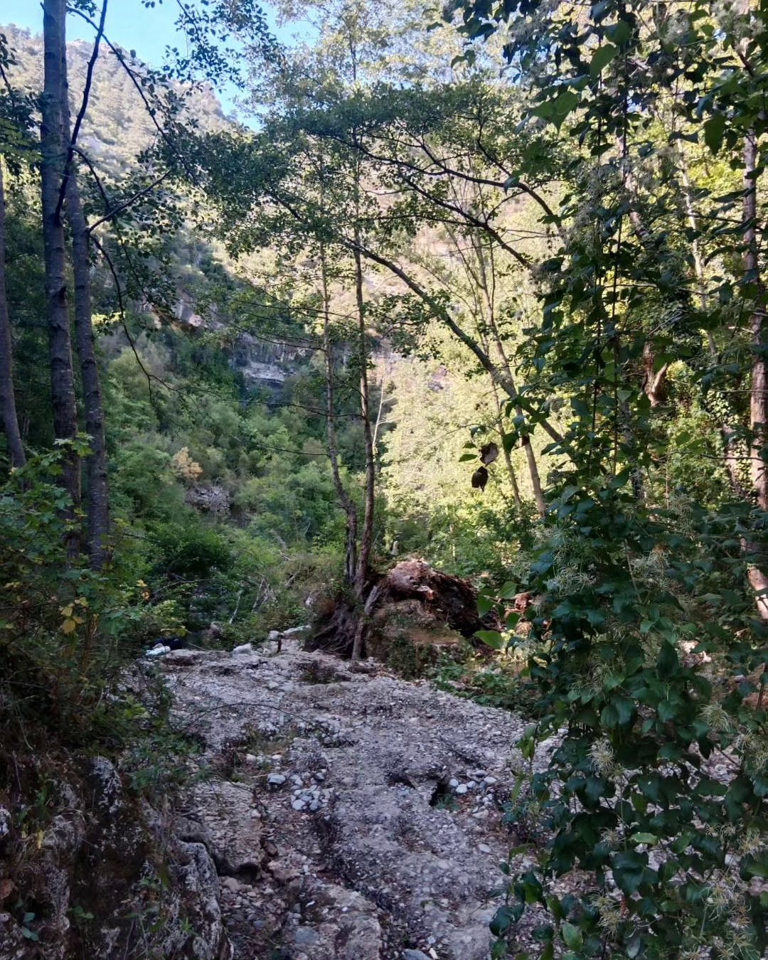 Photo n° 13 de l'avis de Tanguy.T fait le 10/03/2024 à 20:54