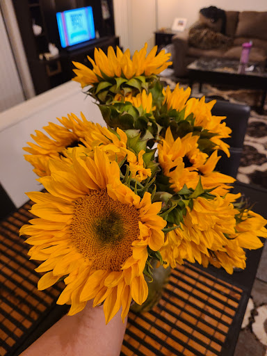 Grocery Store «Schnucks», reviews and photos, 200 N Vine St, Urbana, IL 61802, USA