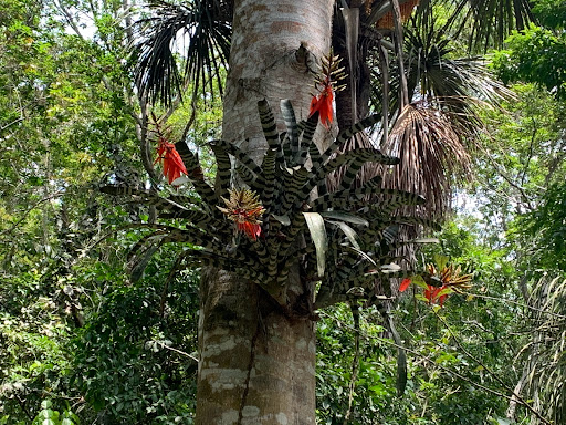 Jardín Botánico Turístico Biokuka