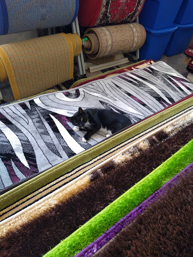 Department Store «Cee & Cee Department Store», reviews and photos, 331 E Fordham Rd, Bronx, NY 10458, USA