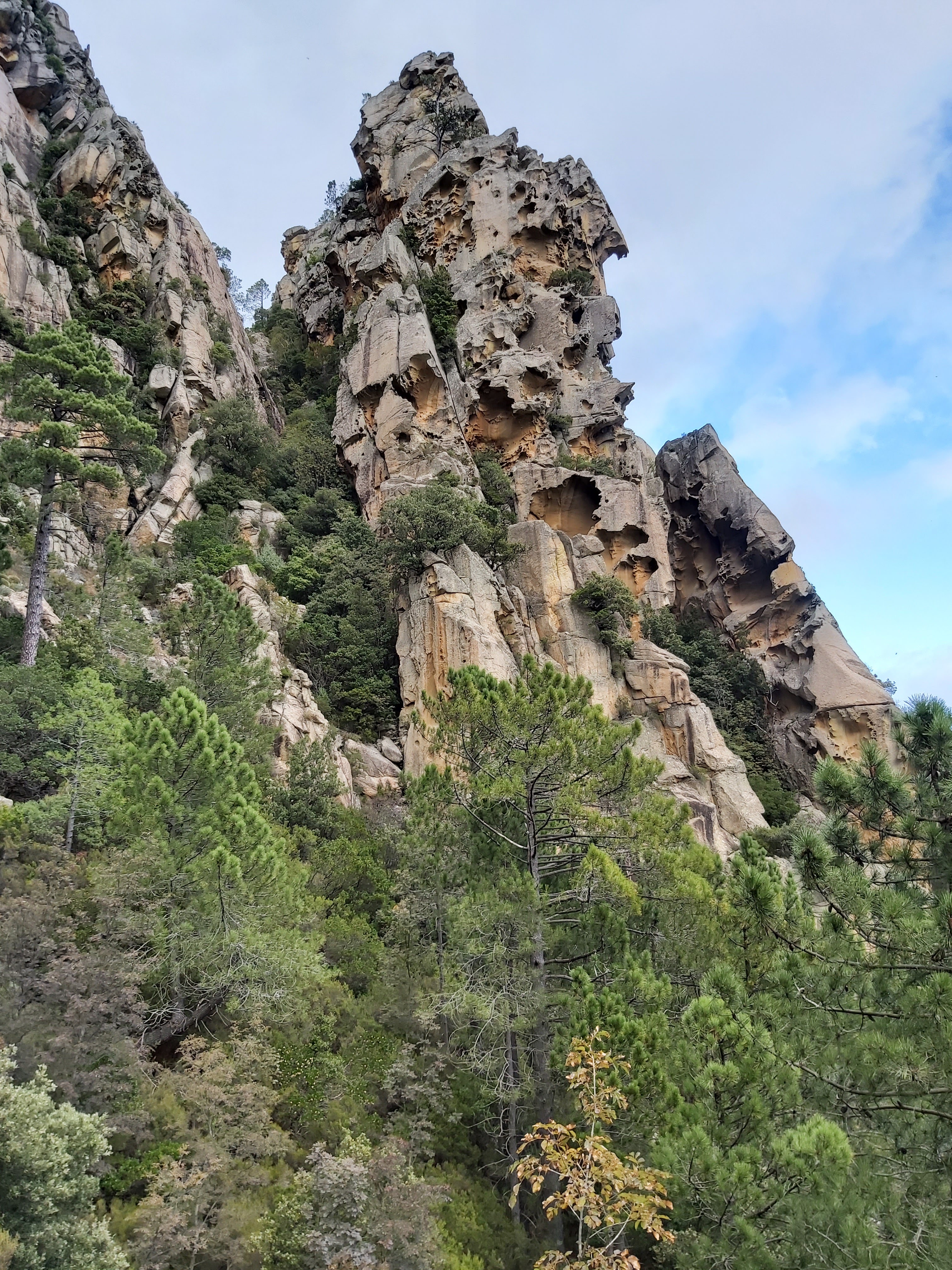 Photo n° 25 de l'avis de Tigno.e fait le 18/10/2020 à 21:44