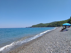 Foto di Elinika beach con baia lunga