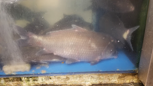 Asian Grocery Store «GreatWall Supermarket», reviews and photos, 144-50 Northern Blvd, Queens, NY 11354, USA