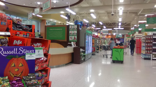 Supermarket «Publix Super Market at Friendship Springs Village», reviews and photos, 7334 Spout Springs Rd, Flowery Branch, GA 30542, USA