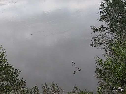 Golf Course «Redwood Canyon Golf Course», reviews and photos, 17007 Redwood Rd, Castro Valley, CA 94546, USA